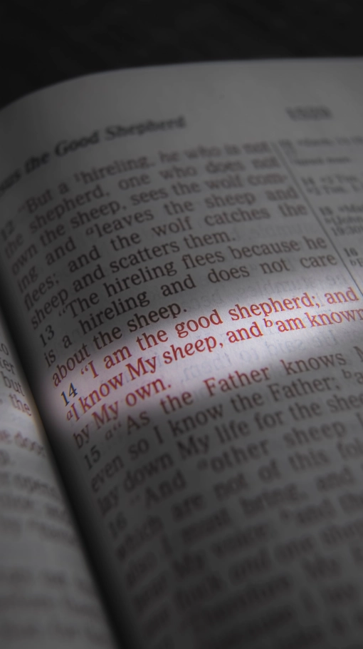 800x1066 bible verse
